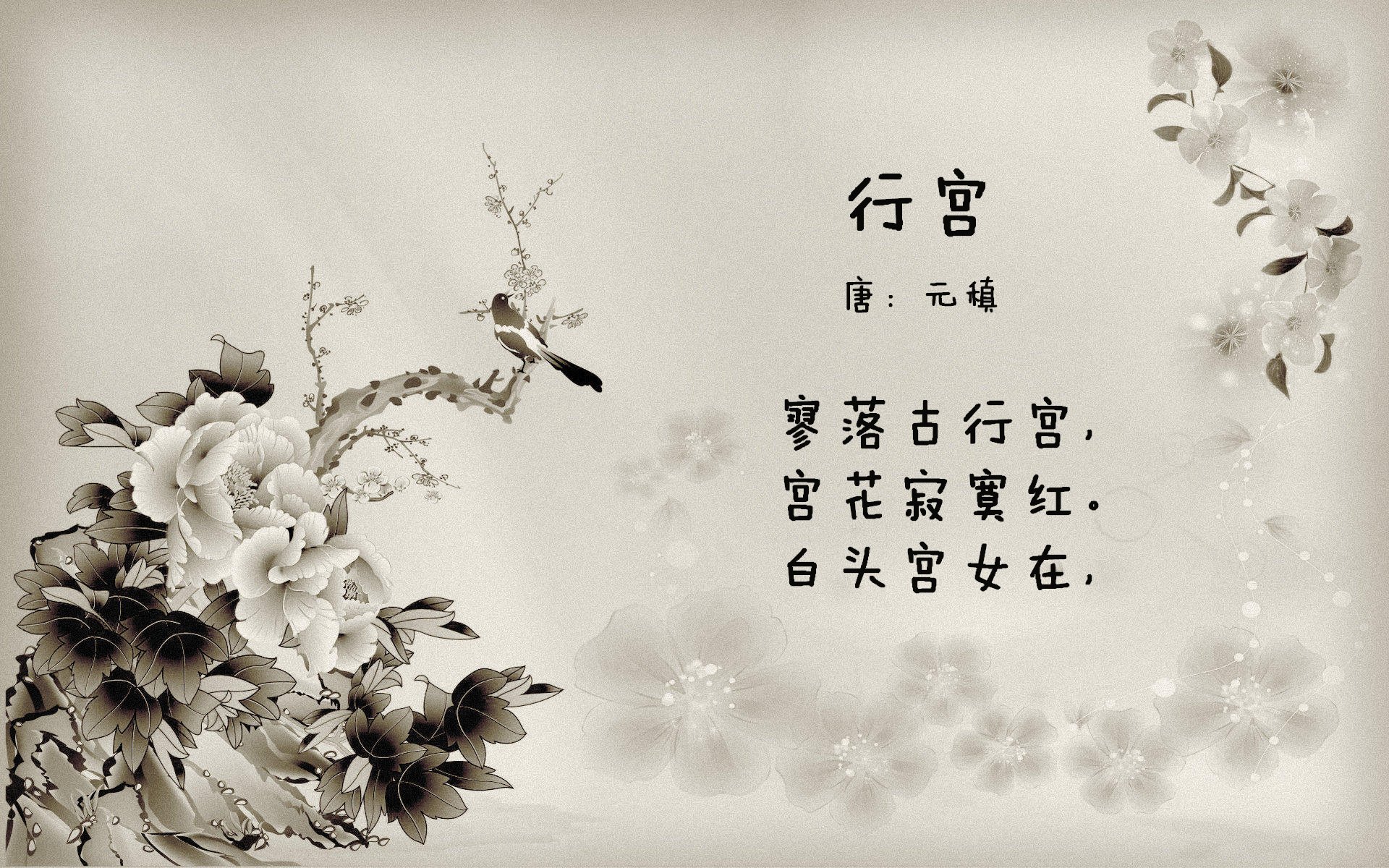 伊朗男篮在亚洲预赛中奋勇争先,迈向奥运的梦想舞台,伊朗队男篮