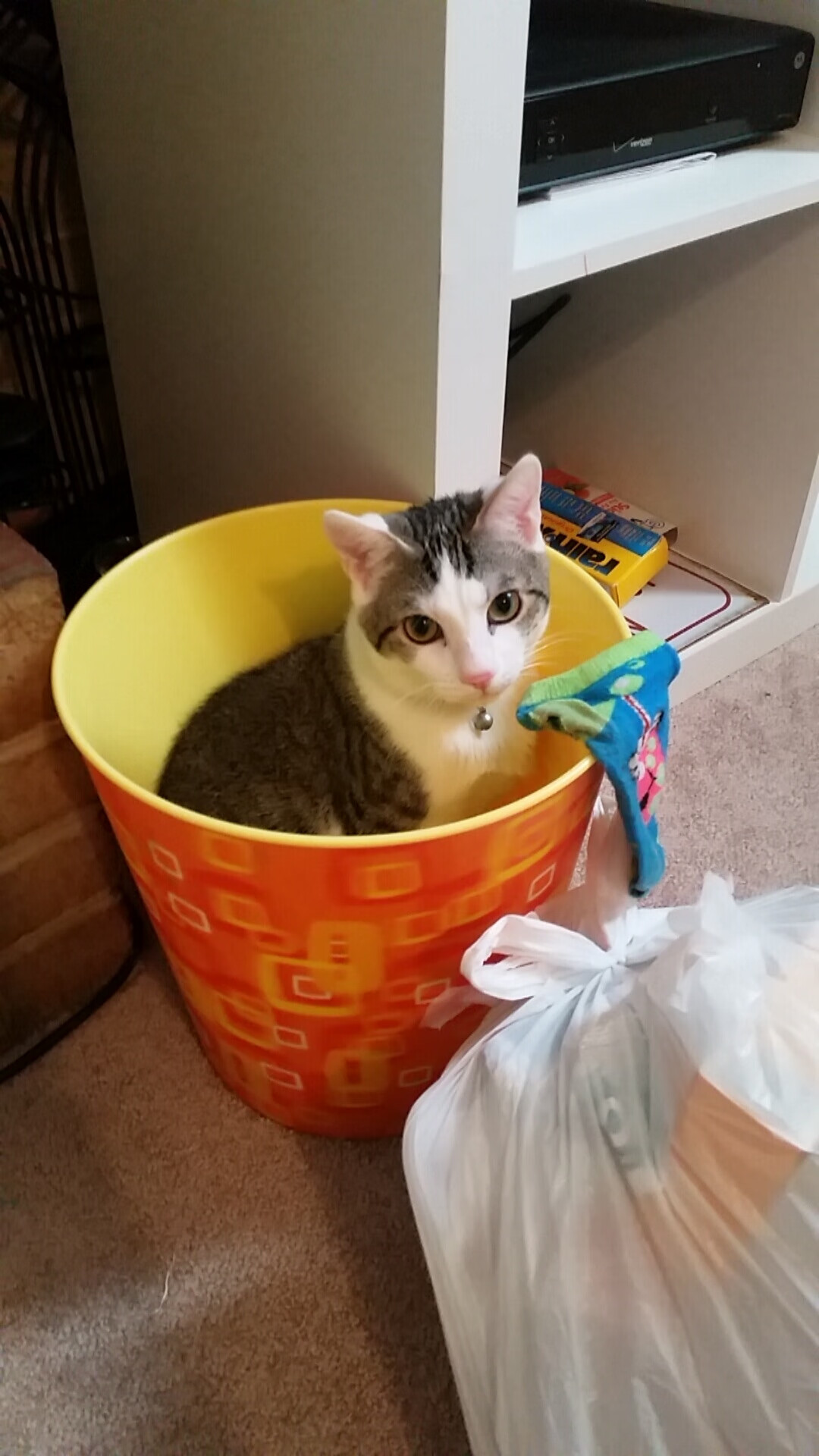 体育短视频平台火爆多位运动员成为流量新焦点,体育短视频成为平台和用户的新宠