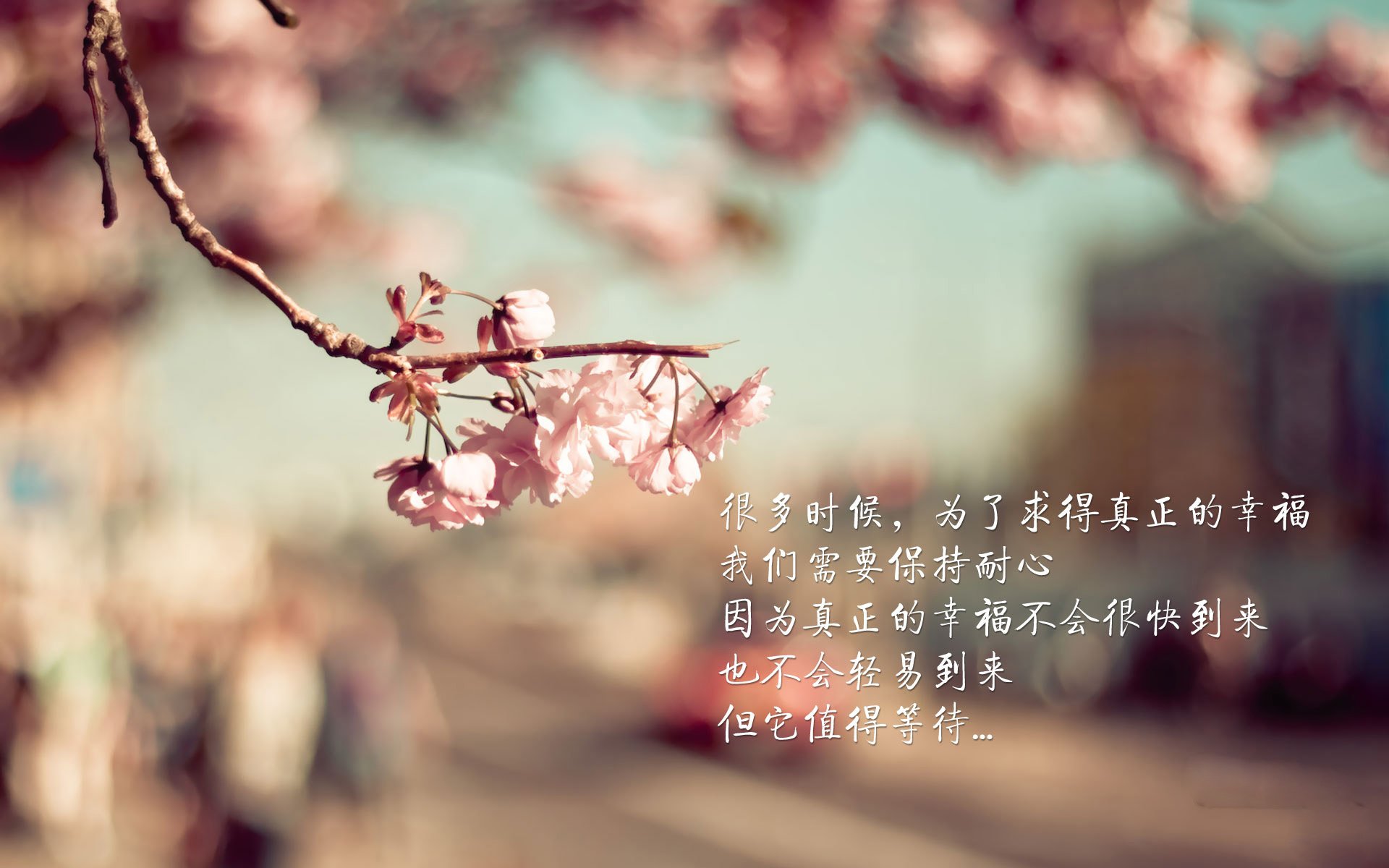 极限运动训练视频教程上线受广泛欢迎,极限运动训练方法